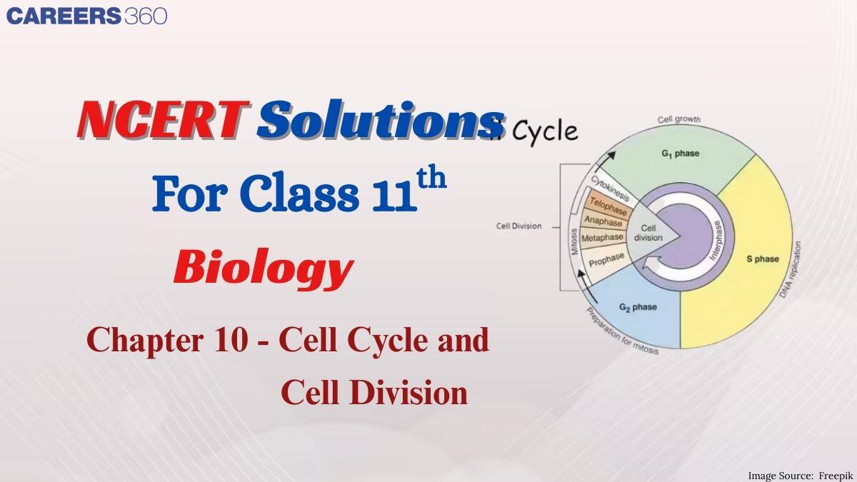 NCERT Solutions For Class 11 Biology Chapter 10 - Cell Cycle and Cell Division